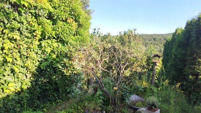 Самое летнее самоудовлетворение #9